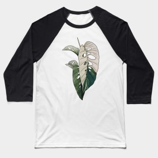 MONSTERA LANIATA VARIEGATA Baseball T-Shirt